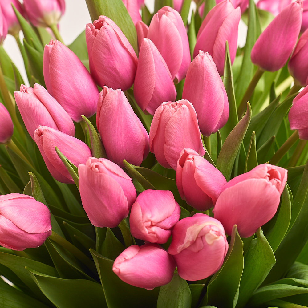 Shop Elegant Tulip Garden Flower Bouquet Perth, AU