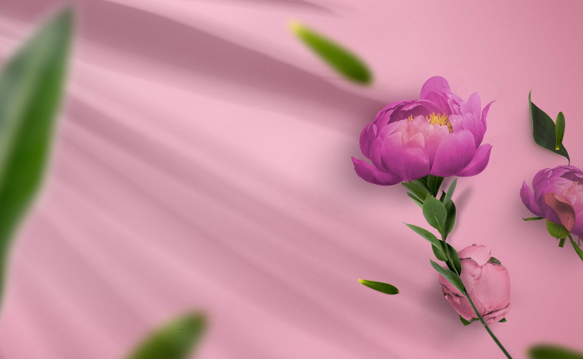floret boutique - perth florist - perth flowers online delivery
