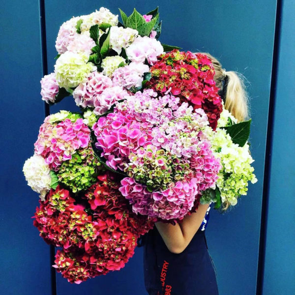 Fresh Flowers For All of Life’s Celebrations