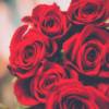 red-roses