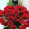 premium romance – dozen roses