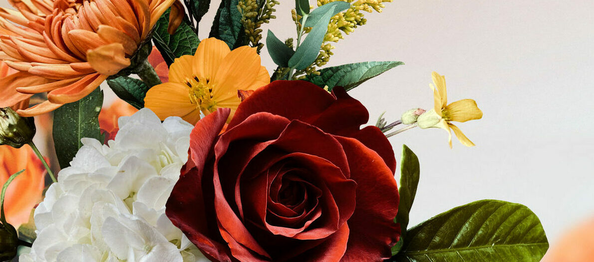 The Best Fresh Flower Types for Congratulating